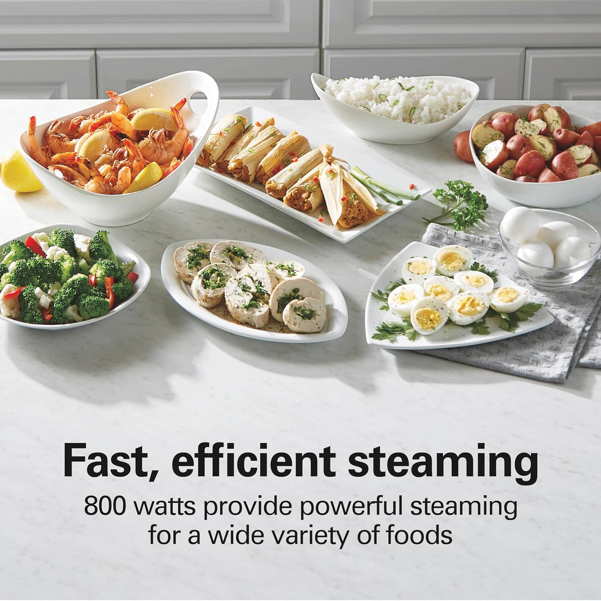Hamilton Beach Electric Food Steamer, Rice Cooker & Egg Boiler
