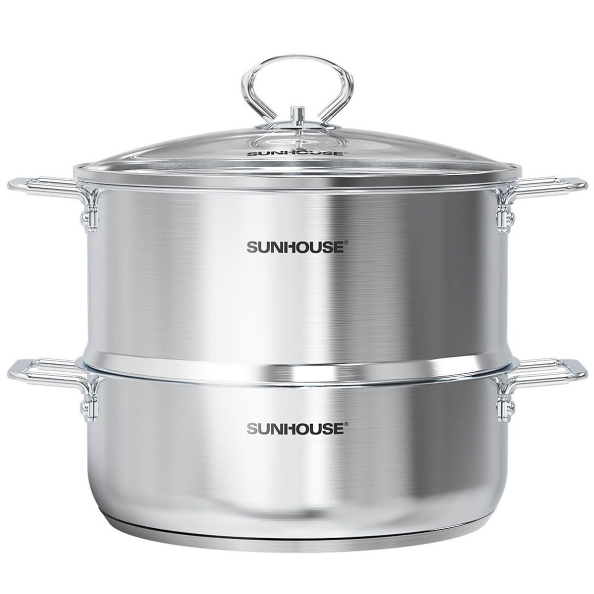 SUNHOUSE 4.6 QT Stainless Steel Steamer Pot for Cooking with Glass Lid