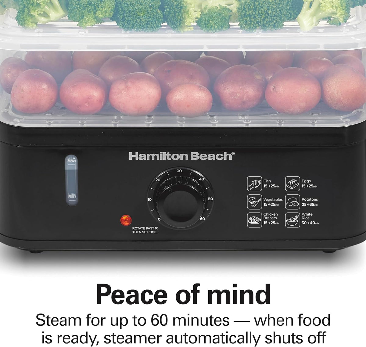 Hamilton Beach Electric Food Steamer, Rice Cooker & Egg Boiler